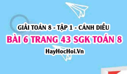 Giải bài 6 trang 43 Toán 8 Tập 1 SGK Cánh Diều